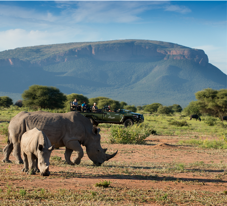 marataba-safari-02